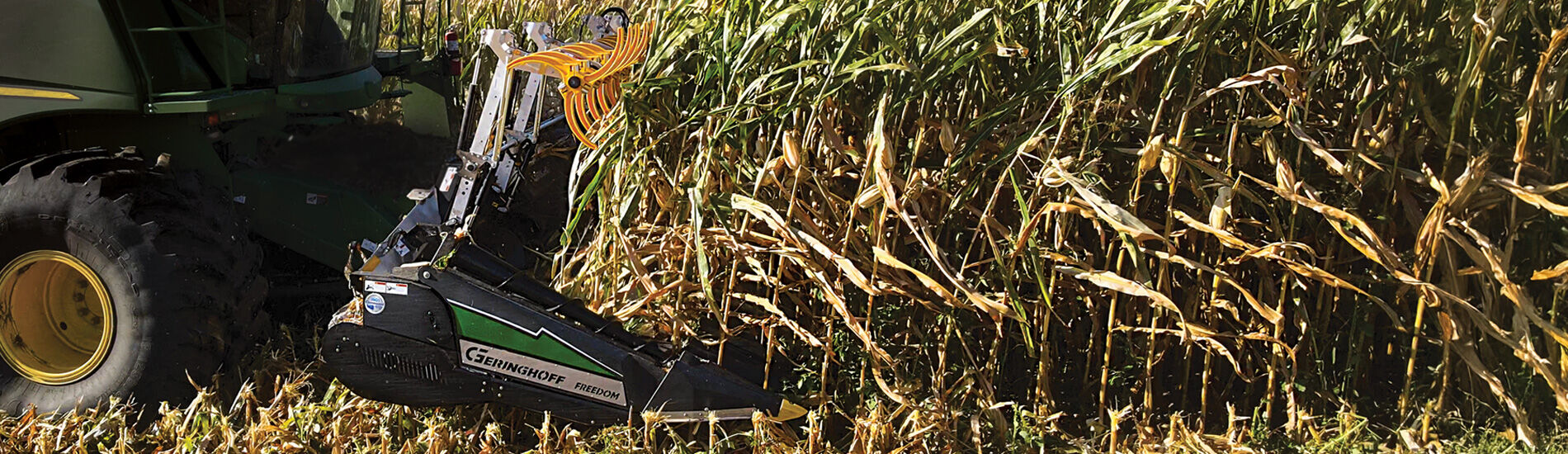 Corn Heads